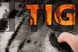 Ozark Tigers Program Cover